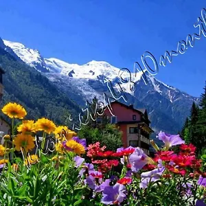 top-4810-mont-blanc.hotels-rhonealpes.com/
